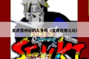 龙虎德州玩的人多吗（龙虎在哪儿玩）
