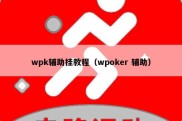 wpk辅助挂教程（wpoker 辅助）