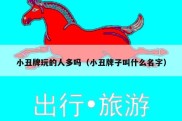 小丑牌玩的人多吗（小丑牌子叫什么名字）