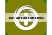 泰安升级在中国合法吗的简单介绍