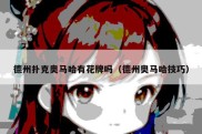 德州扑克奥马哈有花牌吗（德州奥马哈技巧）