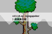 v13.14.zy（zyngapoker）的简单介绍