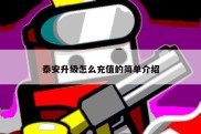 泰安升级怎么充值的简单介绍
