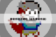 泰安升级正规吗（山东泰安升级）