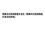 哪里可以找到我是扑克王（哪里可以找到我是扑克王的游戏）