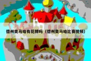 德州奥马哈有花牌吗（德州奥马哈比赛视频）
