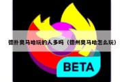 德扑奥马哈玩的人多吗（德州奥马哈怎么玩）