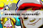 微扑克辅助挂教程（微扑克能不能开挂）