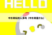 中扑网玩的人多吗（中扑网是什么）