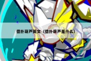 德扑葫芦英文（德扑葫芦是什么）