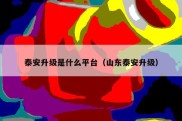 泰安升级是什么平台（山东泰安升级）