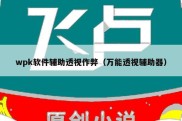wpk软件辅助透视作弊（万能透视辅助器）