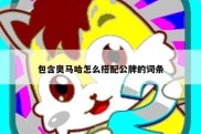 包含奥马哈怎么搭配公牌的词条