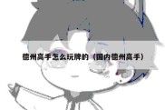 德州高手怎么玩牌的（国内德州高手）