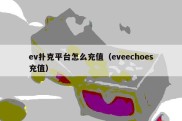 ev扑克平台怎么充值（eveechoes充值）