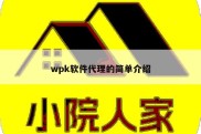 wpk软件代理的简单介绍