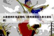 小奥德州扑克正规吗（德州澳德乐小勇士游乐园）