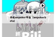 手机wepoker平台（wepokerbeta）