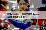 德州wepoker—键透视购买（wepoker德州辅助挂下载）