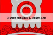 小鲨德扑改名后叫什么（德鲨怎么样）
