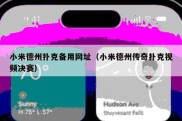 小米德州扑克备用网址（小米德州传奇扑克视频决赛）