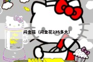 闷金花（闷金花235多大）