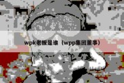 wpk老板是谁（wpp集团董事）