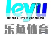 德扑加注是什么意思（德扑加码规则）
