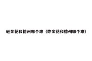 砸金花和德州哪个难（炸金花和德州哪个难）