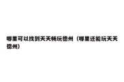 哪里可以找到天天畅玩德州（哪里还能玩天天德州）