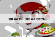 德扑葫芦大小（德扑葫芦比对子吗）