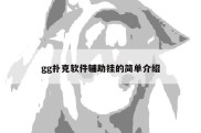 gg扑克软件辅助挂的简单介绍