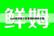 wpk软件输了好多钱的简单介绍