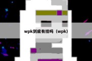 wpk到底有挂吗（wpk）