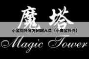 小鲨德扑官方网站入口（小白鲨扑克）