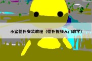 小鲨德扑安装教程（德扑视频入门教学）