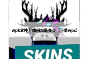 wpk软件下载网址是多少（下载wpc）
