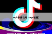 wpk软件攻略（wpl软件）