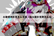 小猪德州扑克怎么充值（抽小猪扑克牌怎么玩）