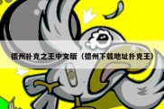 德州扑克之王中文版（德州下载地址扑克王）