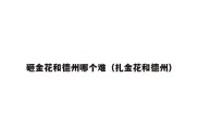 砸金花和德州哪个难（扎金花和德州）