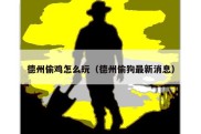 德州偷鸡怎么玩（德州偷狗最新消息）