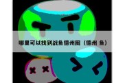 哪里可以找到战鱼德州圈（德州 鱼）