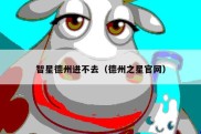 智星德州进不去（德州之星官网）