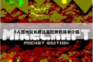 5人德州玩长牌还是短牌的简单介绍