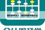 德扑葫芦大小（德扑的葫芦是什么）