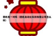 德机有一对吗（德机自动化科技有限公司怎么样）