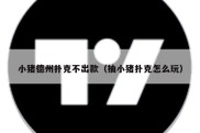 小猪德州扑克不出款（抽小猪扑克怎么玩）