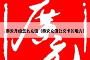 泰安升级怎么充值（泰安充值公交卡的地方）